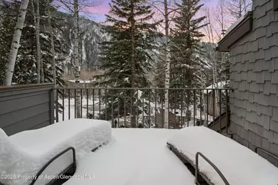 1345 Mayflower Court, Aspen, CO 81611 - Photo 22