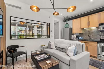 434 E Main Street #104, Aspen, CO 81611 - Photo 6