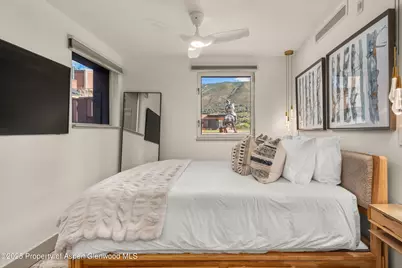 434 E Main Street #104, Aspen, CO 81611 - Photo 12