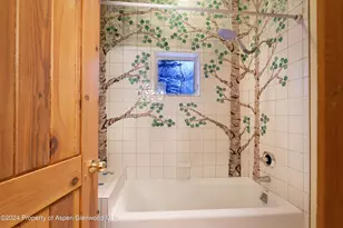 75 & 85 Glen Garry Dr, Aspen, CO 81611 - Photo 36