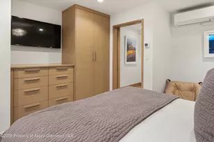 447 E Cooper Ave, Aspen, CO 81611 - Photo 38