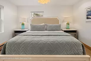 447 E Cooper Ave, Aspen, CO 81611 - Photo 42