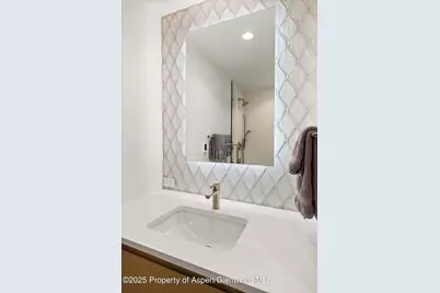 447 E Cooper Avenue #1, Aspen, CO 81611 - Photo 40