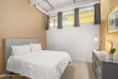231 Robinson Street #302, Basalt, CO 81621 - Photo 8