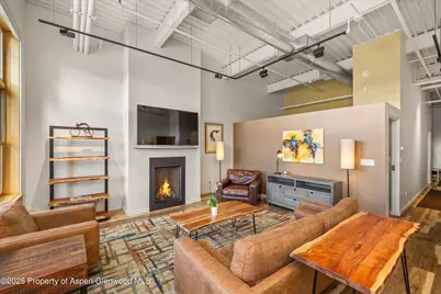 231 Robinson Street #302, Basalt, CO 81621 - Photo 4