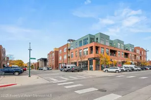 231 Robinson St, Basalt, CO 81621 - Photo 16