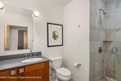 231 Robinson Street #302, Basalt, CO 81621 - Photo 10