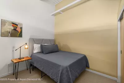 231 Robinson Street #302, Basalt, CO 81621 - Photo 12