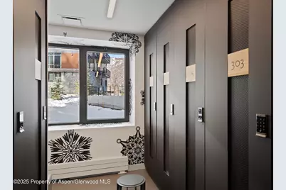 119 Wood Road #303, Snowmass Village, CO 81615 - Photo 24