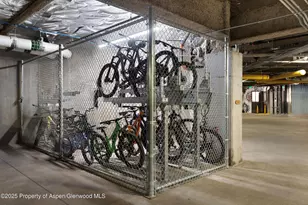 119 Wood Rd, Snowmass Village, CO 81615 - Photo 28