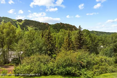 155 Lone Pine Road #8, Aspen, CO 81611 - Photo 32