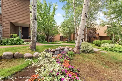 155 Lone Pine Road #8, Aspen, CO 81611 - Photo 36