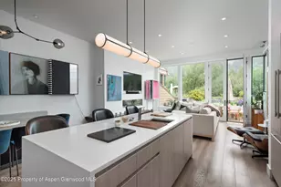 155 Lone Pine Rd, Aspen, CO 81611 - Photo 10