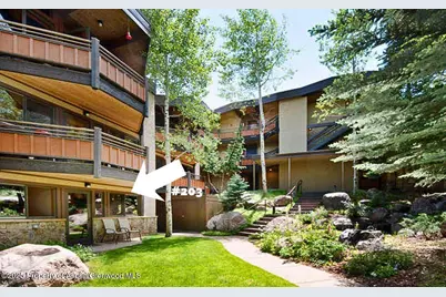 640 Carriage Way #203, Snowmass Village, CO 81615 - Photo 8
