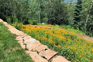 1592 Faraway Rd, Snowmass Village, CO 81615 - Photo 42