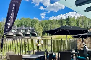 130 Wood Rd, Snowmass Village, CO 81615 - Photo 12