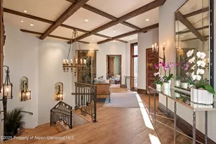 663 Mountain Laurel Dr, Aspen, CO 81611 - Photo 16