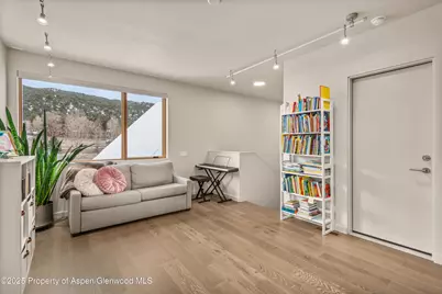 113 Valley Court, Basalt, CO 81621 - Photo 22