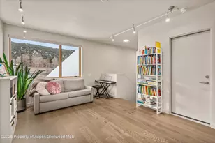 113 Valley Ct, Basalt, CO 81621 - Photo 22