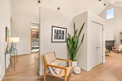 113 Valley Court, Basalt, CO 81621 - Photo 6