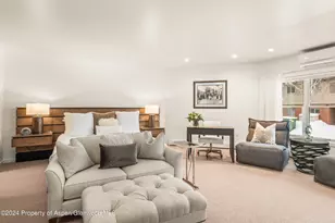 927 E Durant Ave, Aspen, CO 81611 - Photo 18