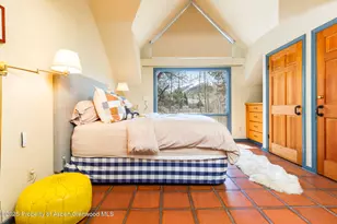 925 W North St, Aspen, CO 81611 - Photo 22