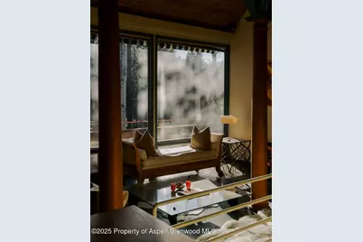 925 W North Street, Aspen, CO 81611 - Photo 18