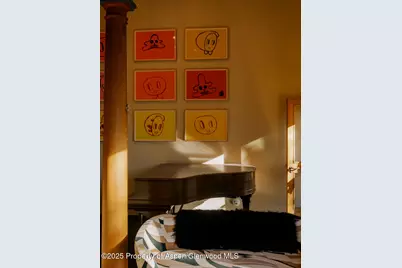 925 W North Street, Aspen, CO 81611 - Photo 16