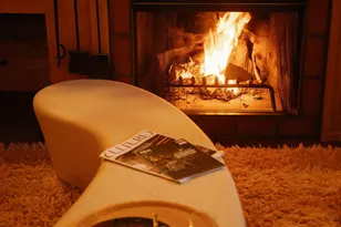 925 W North St, Aspen, CO 81611 - Photo 4