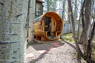 925 W North St, Aspen, CO 81611 - Photo 38