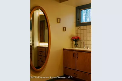 925 W North Street, Aspen, CO 81611 - Photo 28