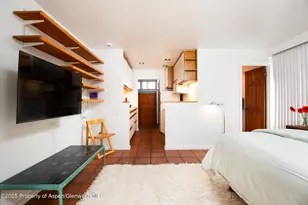 925 W North St, Aspen, CO 81611 - Photo 32