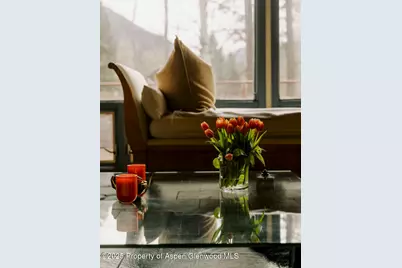 925 W North Street, Aspen, CO 81611 - Photo 18