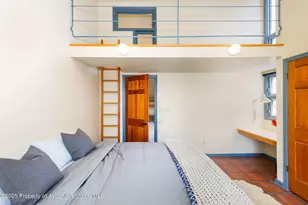 925 W North St, Aspen, CO 81611 - Photo 24