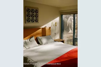 925 W North Street, Aspen, CO 81611 - Photo 30