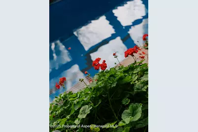 925 W North Street, Aspen, CO 81611 - Photo 12