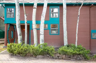 925 W North St, Aspen, CO 81611 - Photo 36