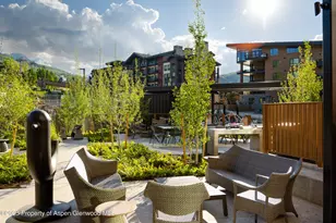 119 Wood Rd, Snowmass Village, CO 81615 - Photo 28