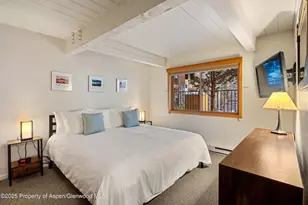 131 E Durant Ave, Aspen, CO 81611 - Photo 8