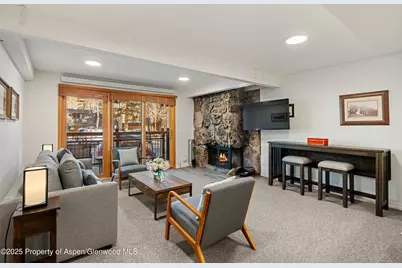 131 E Durant Avenue #104, Aspen, CO 81611 - Photo 2