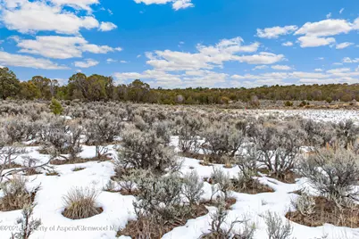 3408 Elk Springs Drive, Glenwood Springs, CO 81601 - Photo 10