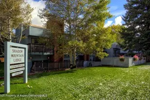 232 W Hyman Ave, Aspen, CO 81611 - Photo 10