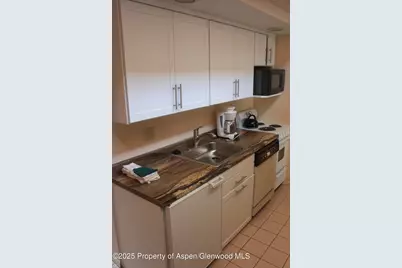 232 W Hyman Avenue #4 (wks 10,20) and #8 (wk 43), Aspen, CO 81611 - Photo 6