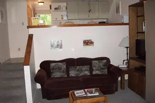 232 W Hyman Ave, Aspen, CO 81611 - Photo 4