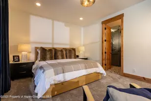 4901 Cimarron Mountain Rd, Cimarron, CO 81220 - Photo 12