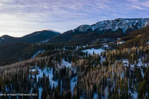 4901 Cimarron Mountain Rd, Cimarron, CO 81220 - Photo 22