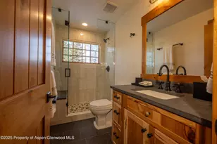 4901 Cimarron Mountain Rd, Cimarron, CO 81220 - Photo 14