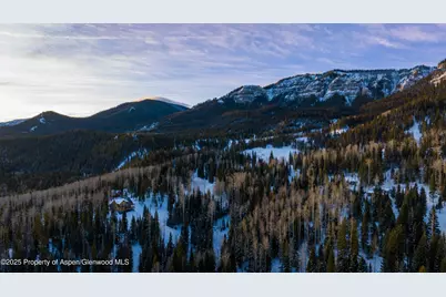 4901 Cimarron Mountain Road, Cimarron, CO 81220 - Photo 22