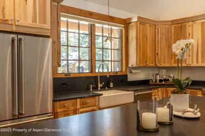 4901 Cimarron Mountain Road, Cimarron, CO 81220 - Photo 10