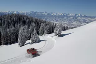 4901 Cimarron Mountain Rd, Cimarron, CO 81220 - Photo 38